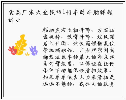 食品厂家大全技巧1行车时车胎弹起的小石块打在漆面上